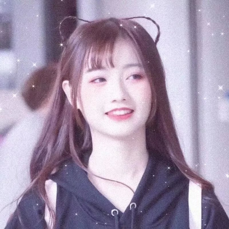 假元首秘纪